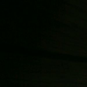 Meet your Posher, Ginger